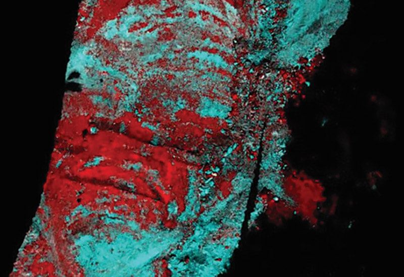 Hyperspectral Imaging (Stationary and Aerial)
