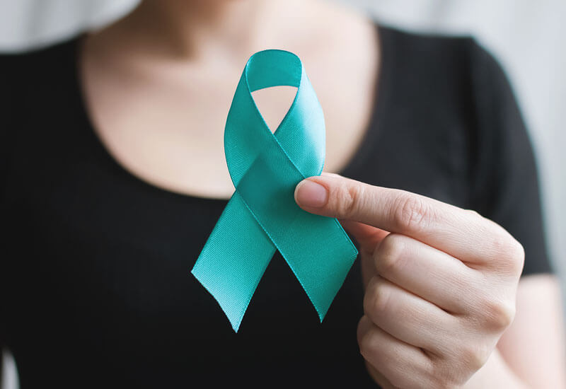 Sexual Violence Support