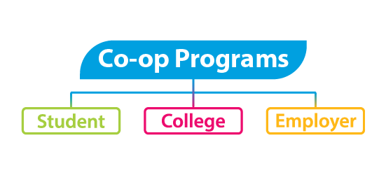 CNA co-op students gaining real workplace experience
